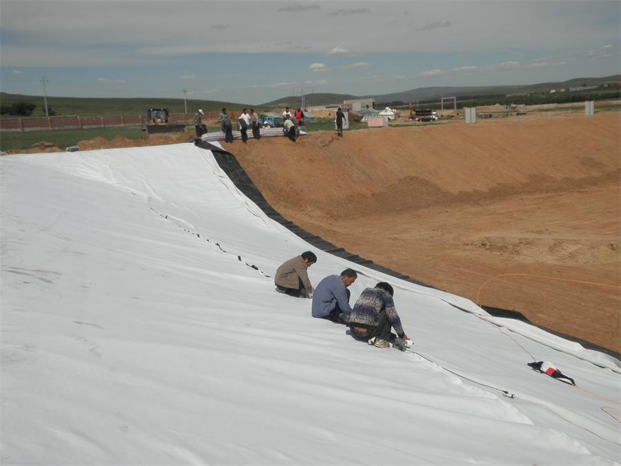 ���w������